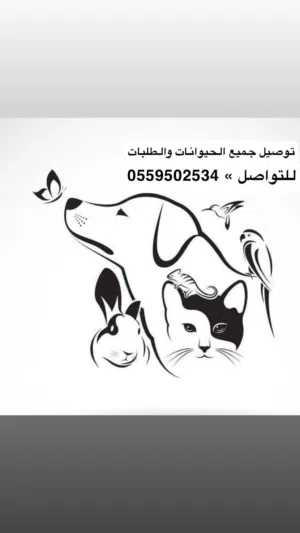 توصيل حيوانات توصيل قطط توصيل كلاب توصيل طيور توصيل جميع الطلبات والحيوانات