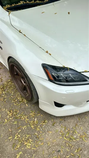رنجات رايز اصليات 19