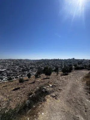 Mixed Use . 500 m2 . Landlord0