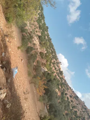 Farm Land for Sale in Ajloun A'anjara