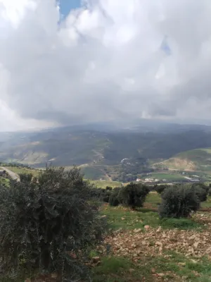 Farm Land for Sale in Jerash Al-Mastaba