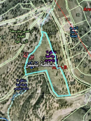 Mixed Use Land for Sale in Nablus Burqa