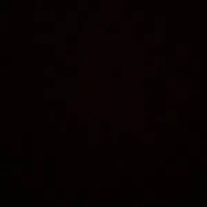صالح العبري 