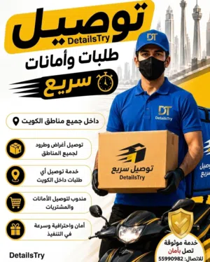 شركة DetailsTry