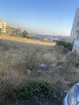 ارض لبيع في نقّب الدبور  منطقه هادئه