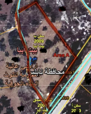 دنم-ارض-للبيع-قرب-بيت-وزن-اراضي-بيت-ايبا