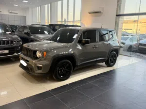 Jeep Renegade Sport 2020 (Grey)