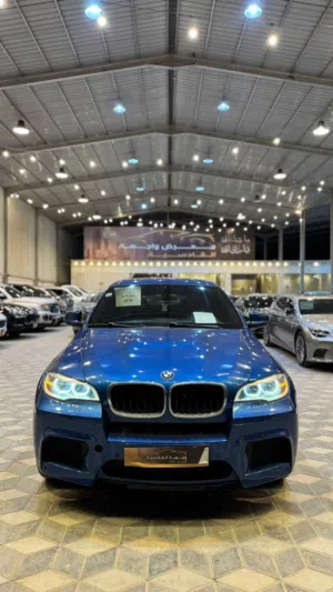 بي ام دبليو X6 2014