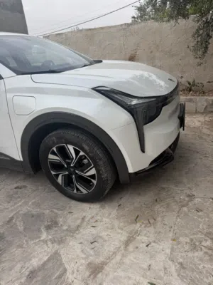 نيتا يو فحص كامل استخدام شخصي