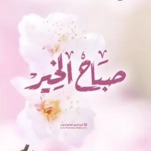 talal jyu