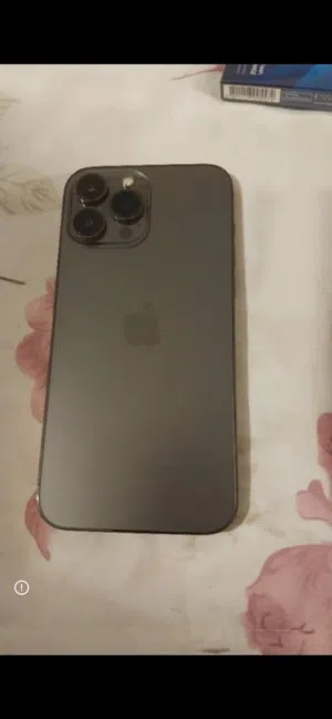 13 pro max