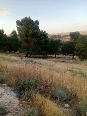 Mixed Use Land for Sale in Jerash Unaybah