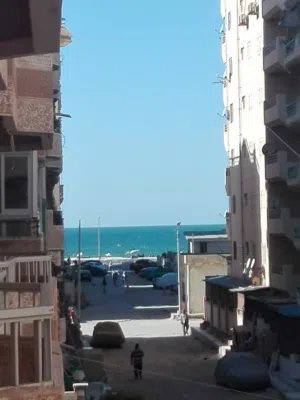 شقه للايجار السنوي فاضي شاطئ النخيل