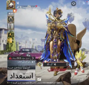 حساب ببجي من نوادر للبيع لفل مجموعه اي قوه84 مثكات قريب 500 مثك