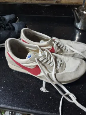 gooe 3 shos