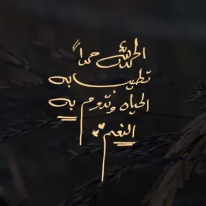 mohamed 