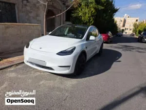 تسلا موديل Y 2021 ستاندر