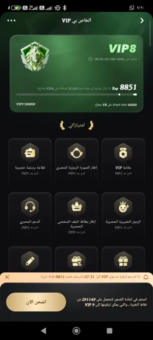 Accounts - Others Accounts and Characters for Sale in Muscat