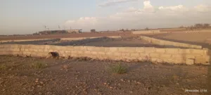 ارض عرطة اربع لبن حر في جدر شارع عشرين