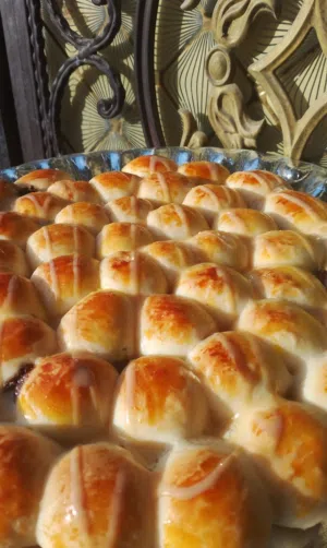 خلية نحل البصره