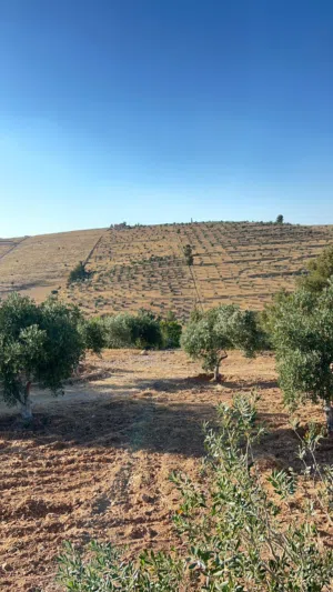‏٢ غرفتا نوم ‏.‏ حمّام ‏.‏ 60 م٢‏1