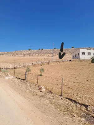 Residential Land for Sale in Zarqa Birayn