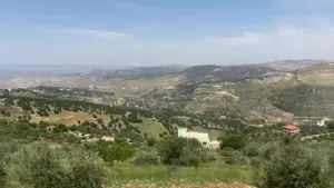 Farm Land for Sale in Salt Al Balqa'