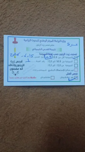متوفر زيت زيتون 2025/2026 نخب اول مفحوص من المركز الوطني