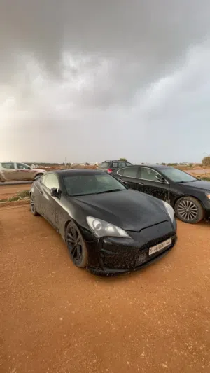 جينسيس كوبي