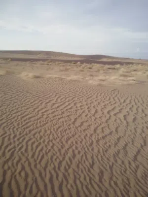 Farm Land for Sale in Al Hudaydah Other