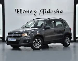 Volkswagen Tiguan ( 2016 Model ) in Grey Color GCC Specs