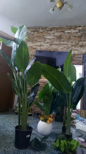 زرع اصطناعي حجم كبير