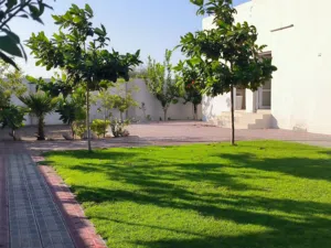 2 Bedrooms Farms for Sale in Al Batinah Al Masnaah