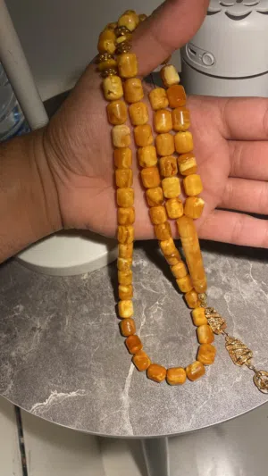 كهرب بولندي شجري