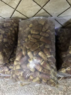 تمر نغال   محقب