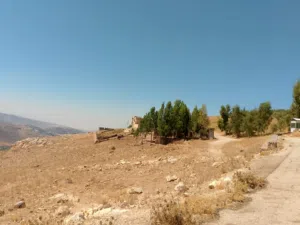 Farm Land for Sale in Salt Al Balqa'