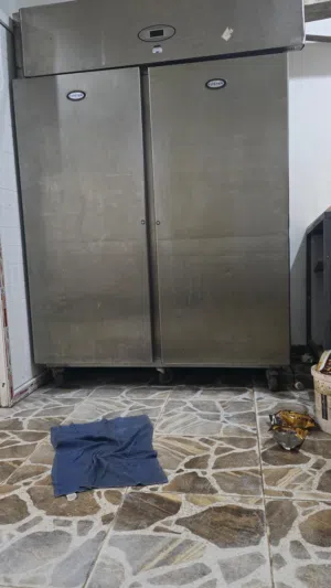 فريز ستيل بابين