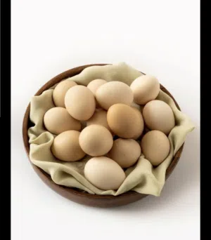 بيض محلي(عماني)