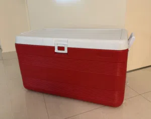 Cosmoplast Keep Cold Plastic Cooler Icebox Deluxe 70 Liters