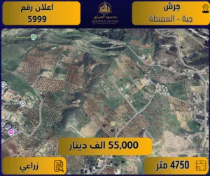 إعلان رقم (5999) أرض مميزة للبيع في جرش - جبة - المصطبة / 4750 متر