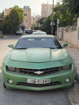 Used Chevrolet Camaro in Amman