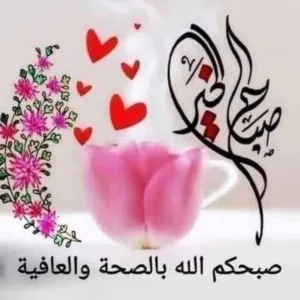 مجاهد ابو زهراء