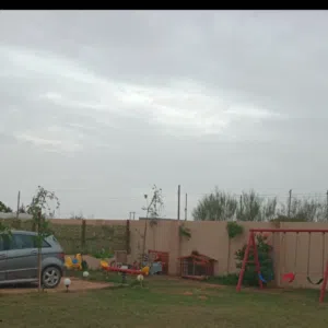 حاتم 