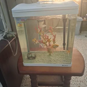 fish tank 2