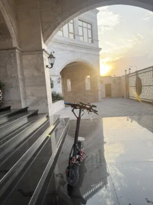electric scooter