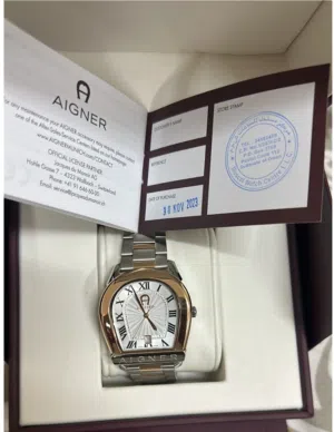 AIGNER Watch silver and gold