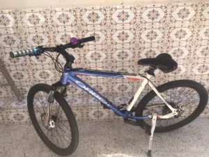 دراجة هوائية من نوع وربي