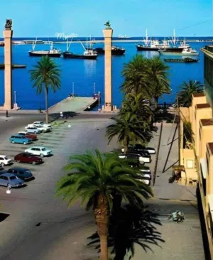Abo Mohamed 