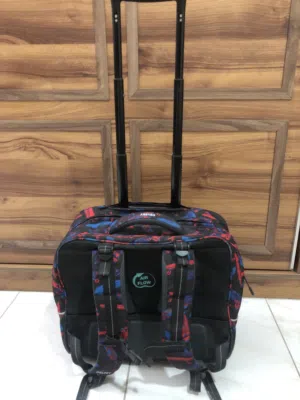 DELSEY school bag