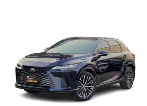 Used Lexus RX in Muscat